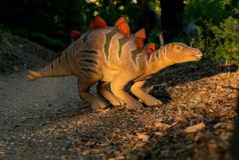 dinopark_robot_stegosaurus1