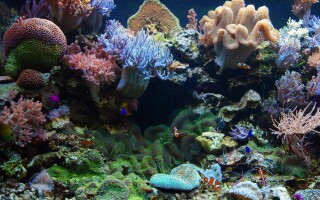 Botanická zahrada Liberec