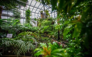 Botanická zahrada Liberec