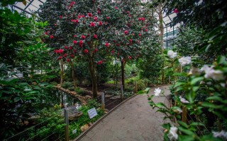 Botanická zahrada Liberec