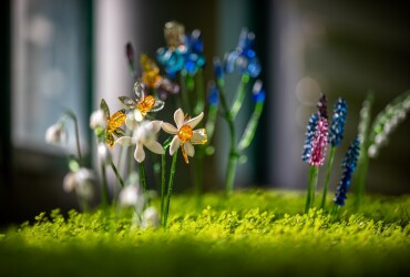 Botanická zahrada Liberec