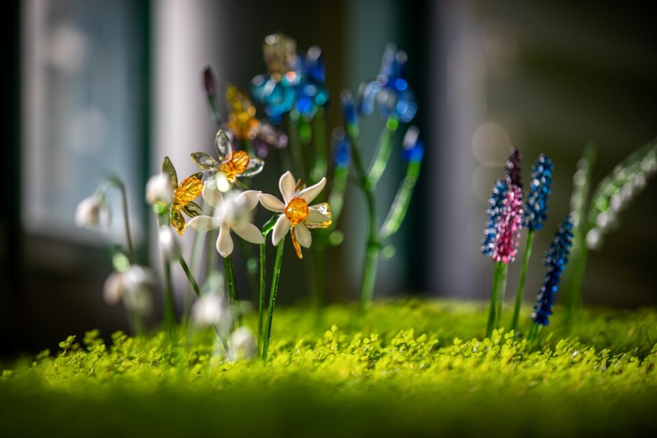 Botanická zahrada Liberec