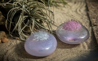 Výstava: Květy ohně