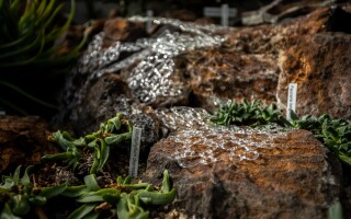 Výstava: Květy ohně