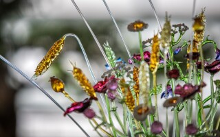 Výstava: Květy ohně