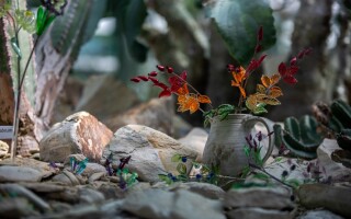 Výstava: Květy ohně