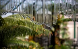 Výstava: Květy ohně