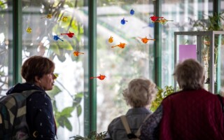 Výstava: Květy ohně