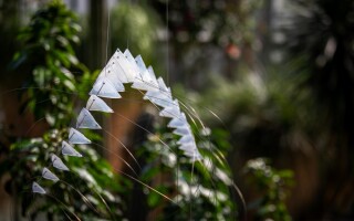 Výstava: Květy ohně